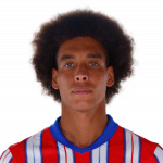 Image of Witsel, Axel