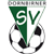 Logo Dornbirner SV