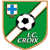 Logo Croix IC