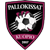 Logo Pallokissat