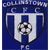 Logo Collinstown