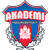 Logo Helsingborgs IF Akademi