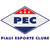 Logo Piaui PI