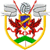 Logo Bryntirion Athletic