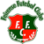 Logo Feirense BA