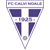 Logo FC Calvi Noale