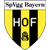 Logo Bayern Hof