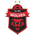 Logo Wollongong Wolves