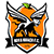 Logo Nova Iguacu FC RJ