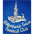 Logo Halesowen Town FC