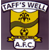 Logo Taffs Well