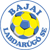 Logo Bajai LSE