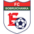 Logo WFC Belshina Bobruisk