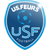Logo US Feurs