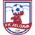 Logo FK Jelgava-2