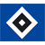 Logo Hamburg U19