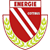 Logo Energie Cottbus U19