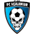 Logo Viimsi FC Igiliikur