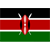Logo Kenya