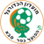 Logo Hapoel Kfar Saba FC