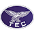 Logo Taguatinga EC DF