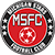 Logo Michigan Stars FC