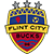 Logo Flint City Bucks
