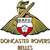 Logo Doncaster Rovers Belles LFC
