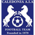 Logo Caledonia AIA