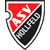 Logo ASV Hollfeld