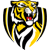 Logo Richmond SC