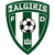 Logo FK Zalgiris Vilnius B