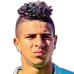 Image of Dos Santos Haesler, Eduardo
