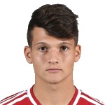 Image of Sbardella, Luca