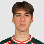 Image of Ibragimov, Elnur