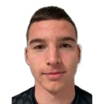 Image of Cosic, Mario