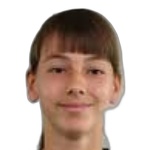 Image of Sibcic, Asim