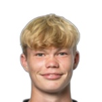 Image of Hammerlein, Daniel