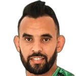 Image of Meszaros, Gyula