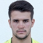 Image of Misic, Darko