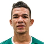 Image of Andrade da Silva, Rodrigo