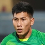 Image of Nguyen, Tuan Manh