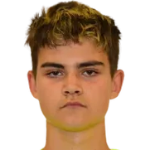 Image of Alves De Souza, Rener