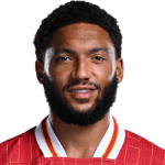 Image of Gomez, Joe