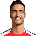 Image of Merino, Mikel