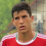 Image of Gubacsi, Zoltan