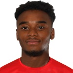 Image of Mottley-Henry, Dylan