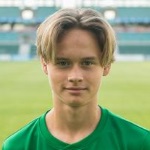 Image of Srbulovic, Deivid