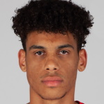 Image of Gianotti Morassi, Guilherme